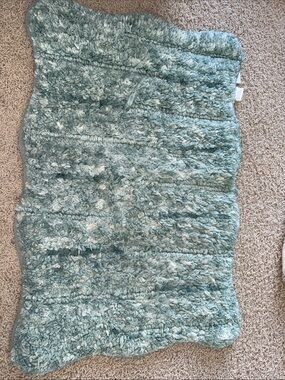 Plush Shaggy Area Rug in Seafoam Green